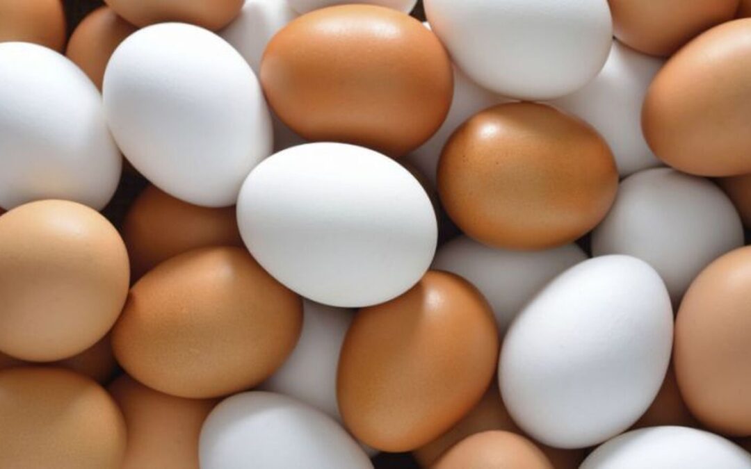 ➤ Adaptar el peso del huevo a las necesidades del mercado mediante el manejo
