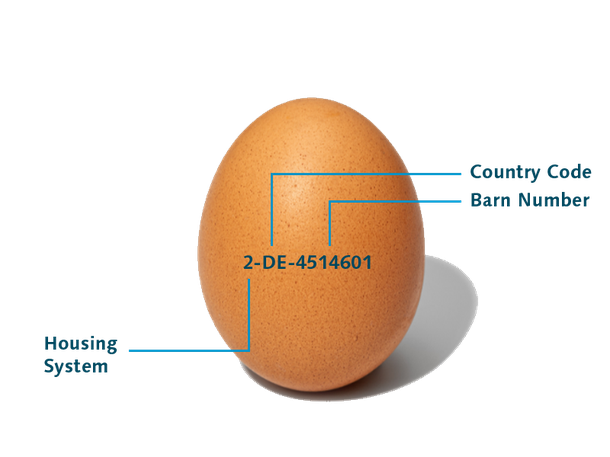 Código de los Huevos