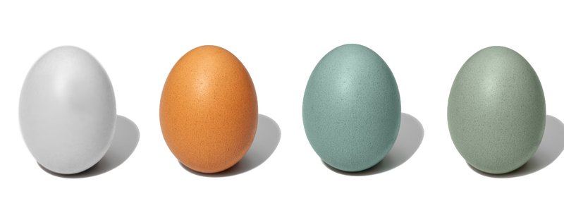 A qué se debe el Color en los Huevos