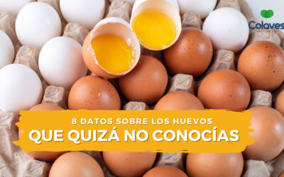 ➤ 8 Datos Sobre los Huevos que Quizá NO Conozcas